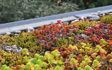 the cost of Dundridge green roof installation