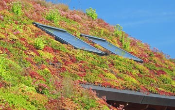 Dundridge living roof systems