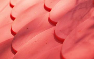 Dundridge plastic roof costs