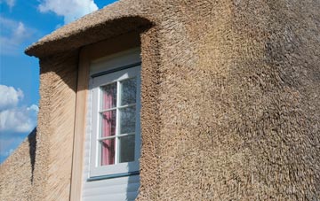 Dundridge thatch roof disadvantages